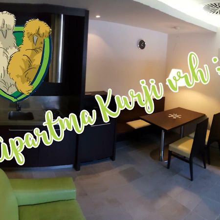 Apartma Kurji Vrh - Chicken Top كْرانْيِسكا غورا المظهر الخارجي الصورة