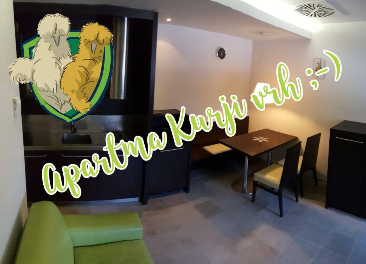Apartma Kurji Vrh - Chicken Top كْرانْيِسكا غورا المظهر الخارجي الصورة